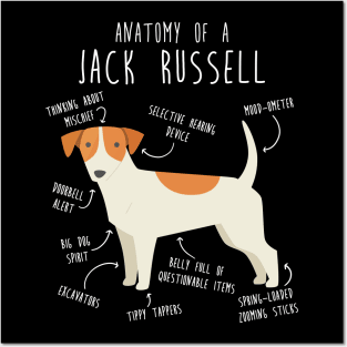 Jack Russell Terrier Dog Anatomy Posters and Art
